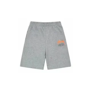 Stussy Basic Logo Grey Shorts — seller product photo