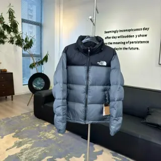 The North Face Nuptse Stone Grey Parka — seller product photo