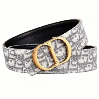 Dior Oblique Print Belt with Gold Buckle — seller product photo