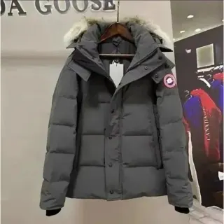 Canada Goose Expedition Grey Parka — seller product photo