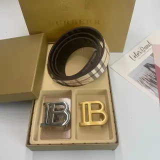 Burberry TB Monogram Belt Brown & Silver — seller product photo