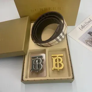 Burberry TB Monogram Belt Set Brown & Gold — seller product photo